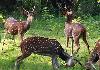 View at Kabini River Lodge 